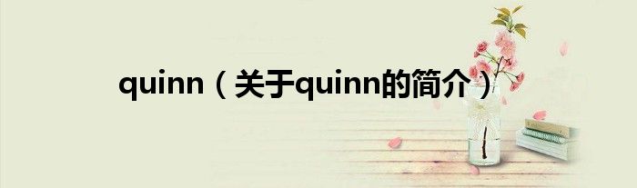 quinn（關(guān)于quinn的簡介）