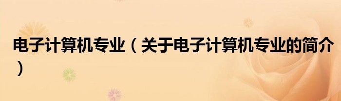 電子計(jì)算機(jī)專業(yè)（關(guān)于電子計(jì)算機(jī)專業(yè)的簡介）