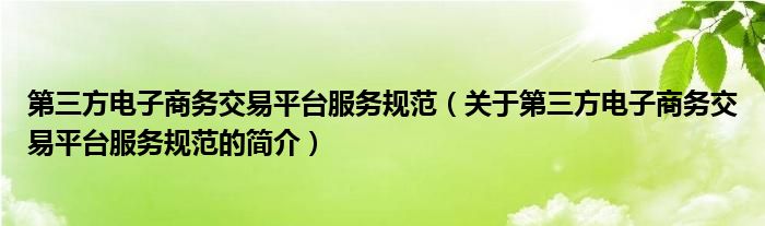 第三方電子商務交易平臺服務規(guī)范（關于第三方電子商務交易平臺服務規(guī)范的簡介）