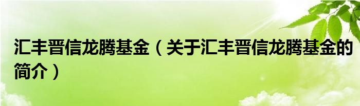 匯豐晉信龍騰基金（關(guān)于匯豐晉信龍騰基金的簡(jiǎn)介）