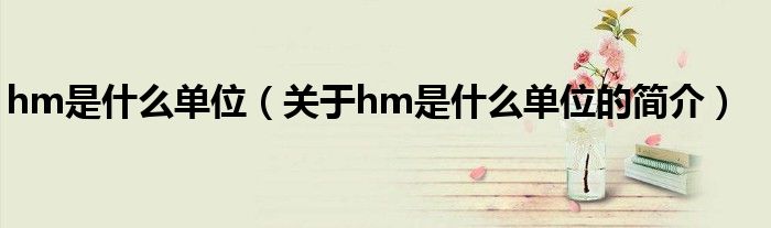 hm是什么單位（關(guān)于hm是什么單位的簡(jiǎn)介）