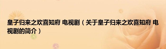 皇子歸來之歡喜知府 電視?。P(guān)于皇子歸來之歡喜知府 電視劇的簡介）