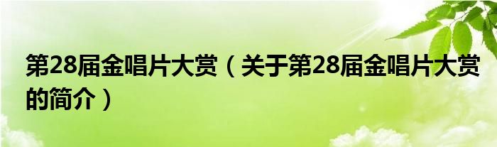 第28屆金唱片大賞（關于第28屆金唱片大賞的簡介）