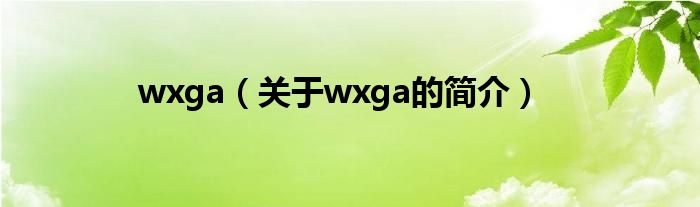 wxga（關于wxga的簡介）