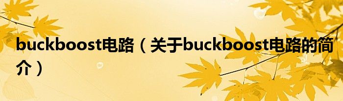 buckboost電路（關(guān)于buckboost電路的簡介）