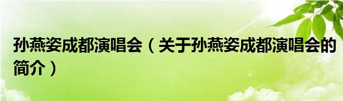 孫燕姿成都演唱會（關于孫燕姿成都演唱會的簡介）