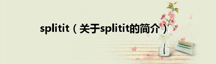 splitit（關(guān)于splitit的簡(jiǎn)介）