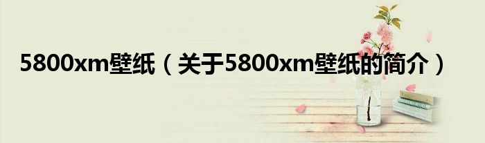 5800xm壁紙（關(guān)于5800xm壁紙的簡(jiǎn)介）