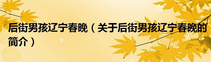 后街男孩遼寧春晚（關(guān)于后街男孩遼寧春晚的簡(jiǎn)介）