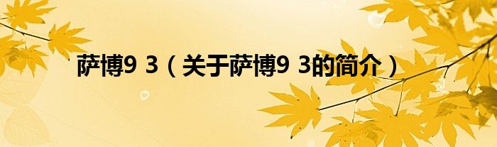 薩博9 3（關(guān)于薩博9 3的簡(jiǎn)介）