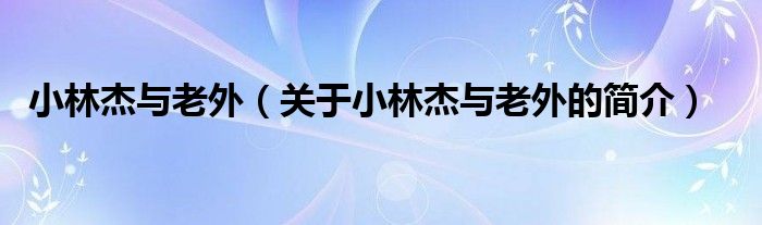 小林杰與老外（關于小林杰與老外的簡介）