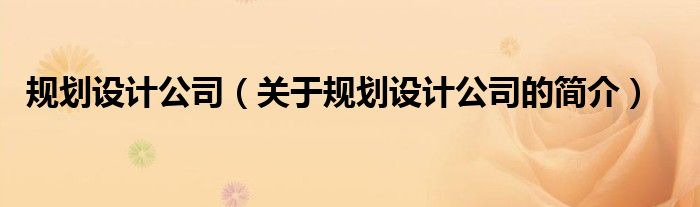 規(guī)劃設(shè)計(jì)公司（關(guān)于規(guī)劃設(shè)計(jì)公司的簡(jiǎn)介）