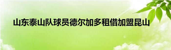 山東泰山隊球員德爾加多租借加盟昆山