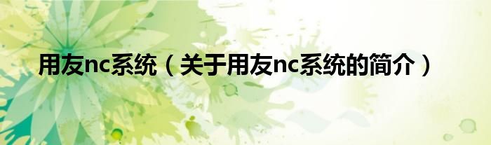 用友nc系統(tǒng)（關(guān)于用友nc系統(tǒng)的簡介）