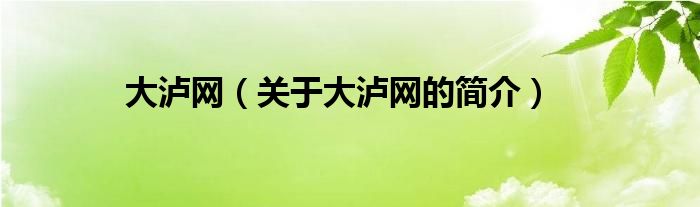 大瀘網(wǎng)（關(guān)于大瀘網(wǎng)的簡(jiǎn)介）