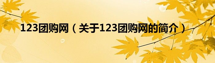 123團(tuán)購網(wǎng)（關(guān)于123團(tuán)購網(wǎng)的簡(jiǎn)介）