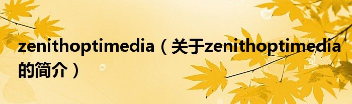 zenithoptimedia（關(guān)于zenithoptimedia的簡(jiǎn)介）