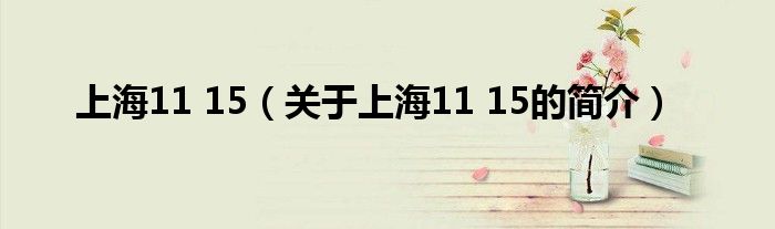 上海11 15（關(guān)于上海11 15的簡介）