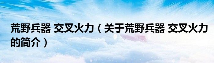 荒野兵器 交叉火力（關(guān)于荒野兵器 交叉火力的簡介）