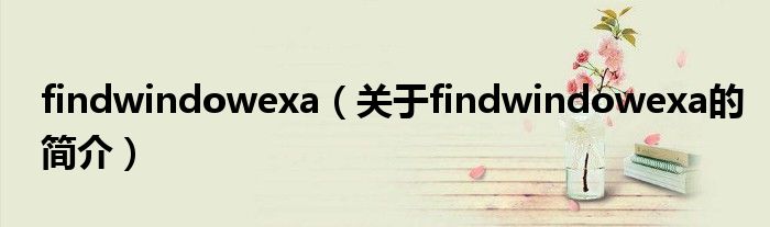 findwindowexa（關(guān)于findwindowexa的簡(jiǎn)介）