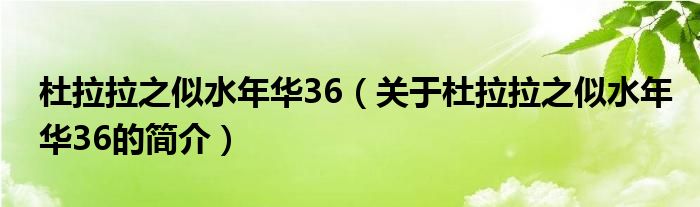 杜拉拉之似水年華36（關(guān)于杜拉拉之似水年華36的簡介）