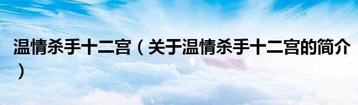 溫情殺手十二宮（關(guān)于溫情殺手十二宮的簡(jiǎn)介）