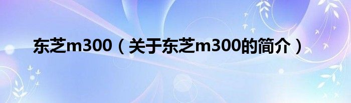 東芝m300（關(guān)于東芝m300的簡(jiǎn)介）