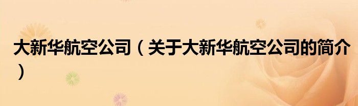 大新華航空公司（關(guān)于大新華航空公司的簡介）