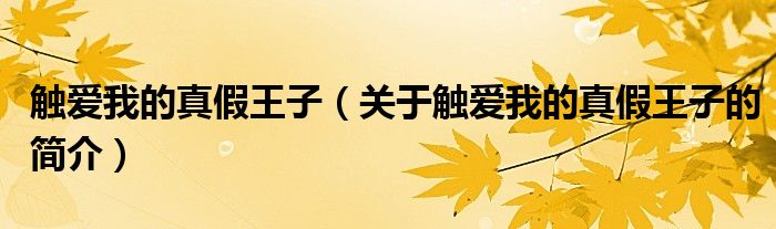 觸愛我的真假王子（關(guān)于觸愛我的真假王子的簡(jiǎn)介）