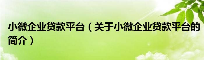 小微企業(yè)貸款平臺(tái)（關(guān)于小微企業(yè)貸款平臺(tái)的簡(jiǎn)介）