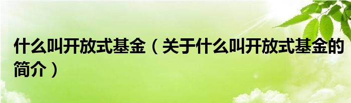 什么叫開放式基金（關(guān)于什么叫開放式基金的簡介）