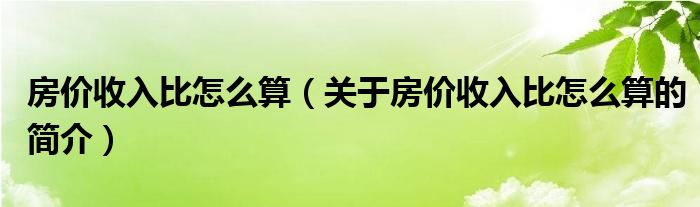 房?jī)r(jià)收入比怎么算（關(guān)于房?jī)r(jià)收入比怎么算的簡(jiǎn)介）