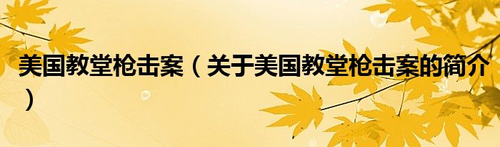 美國教堂槍擊案（關(guān)于美國教堂槍擊案的簡(jiǎn)介）