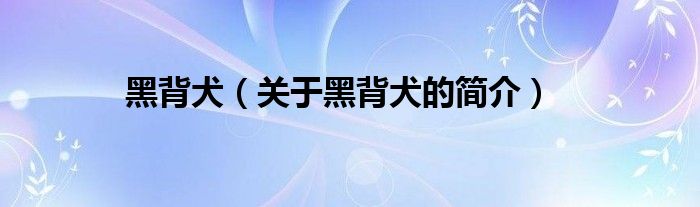 黑背犬（關(guān)于黑背犬的簡(jiǎn)介）