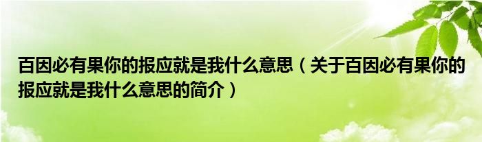 百因必有果你的報應就是我什么意思（關于百因必有果你的報應就是我什么意思的簡介）