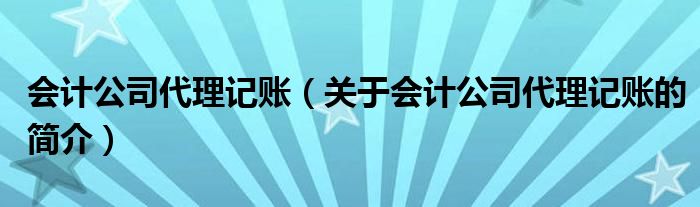 會計公司代理記賬（關(guān)于會計公司代理記賬的簡介）