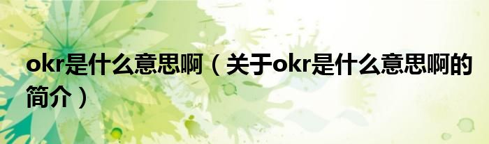 okr是什么意思?。P(guān)于okr是什么意思啊的簡(jiǎn)介）