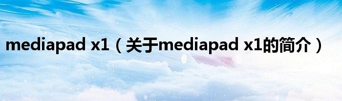 mediapad x1（關于mediapad x1的簡介）