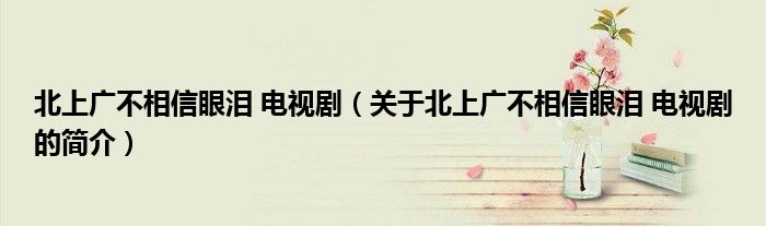 北上廣不相信眼淚 電視劇（關(guān)于北上廣不相信眼淚 電視劇的簡(jiǎn)介）