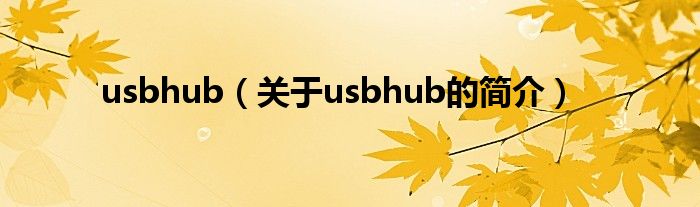 usbhub（關于usbhub的簡介）