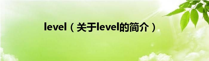 level（關于level的簡介）