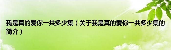 我是真的愛你一共多少集（關于我是真的愛你一共多少集的簡介）