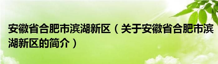 安徽省合肥市濱湖新區(qū)（關(guān)于安徽省合肥市濱湖新區(qū)的簡(jiǎn)介）