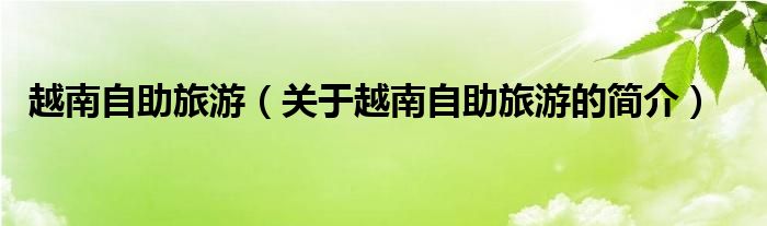 越南自助旅游（關(guān)于越南自助旅游的簡(jiǎn)介）