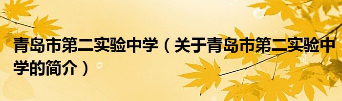 青島市第二實驗中學（關(guān)于青島市第二實驗中學的簡介）