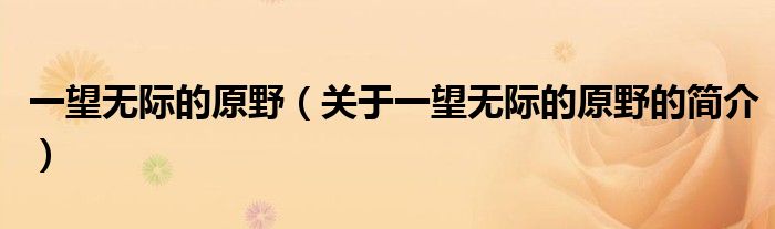 一望無(wú)際的原野（關(guān)于一望無(wú)際的原野的簡(jiǎn)介）