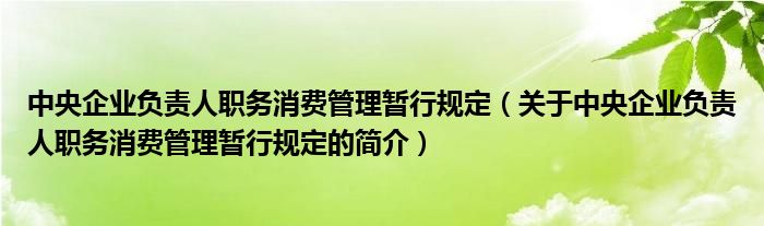 中央企業(yè)負責(zé)人職務(wù)消費管理暫行規(guī)定（關(guān)于中央企業(yè)負責(zé)人職務(wù)消費管理暫行規(guī)定的簡介）