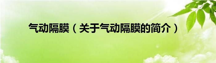 氣動隔膜（關(guān)于氣動隔膜的簡介）