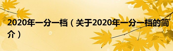 2020年一分一檔（關(guān)于2020年一分一檔的簡介）