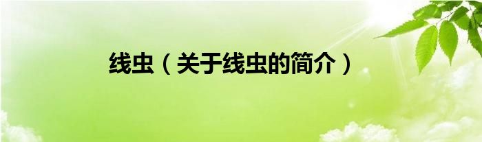 線蟲(chóng)（關(guān)于線蟲(chóng)的簡(jiǎn)介）